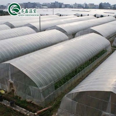 Προσαρμόσιμο μέγεθος Γεωργικό θερμοκήπιο πλαστικής ταινίας με ένα μόνο διάστημα