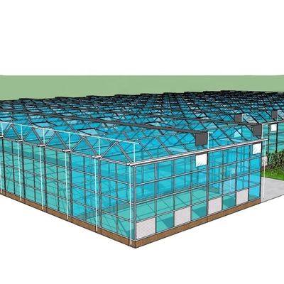 3.8m-9.8m Ridge Height Glass Solar Greenhouse για απαιτήσεις πελατών