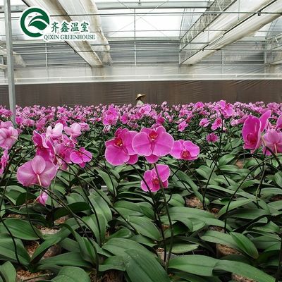Εμπορικό σύστημα ενυδρείων Aquaponic Προσυσκευασμένα θερμοκήπια PO για λαχανικά