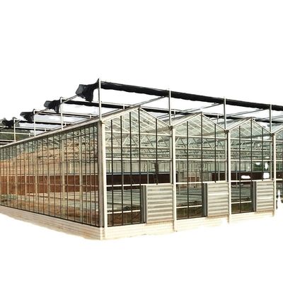 Μεγάλο προσαρμοσμένο γεωργικό γυάλινο θερμοκήπιο με σύστημα υδροπονικών στάθμων PVC
