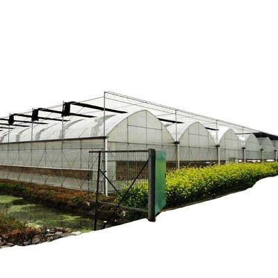 Εσωτερικό σύστημα σκιάσματος Μανιτάρια Ο εξοπλισμός θερμοκηπίου για φρούτα και λουλούδια λαχανικών