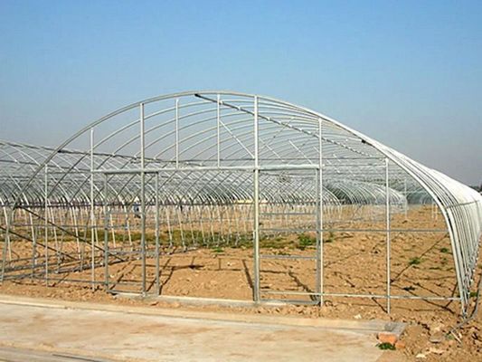 Φωτογραφικό κάλυμμα Μονόστρωμα Γεωργικό θερμοκήπιο για βιώσιμη γεωργία