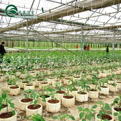 Μεγάλο γυάλινο θερμοκήπιο μανιτάρι αεροπονικό κήπο πύργο για την εκπαίδευση του οικολογικού εστιατορίου