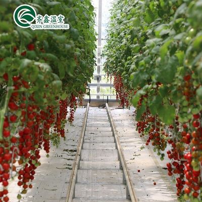 Καλλιεργήστε τα δικά σας λαχανικά φρούτα και λουλούδια με το εμπορικό μας θερμοκήπιο Φιλιππίνες