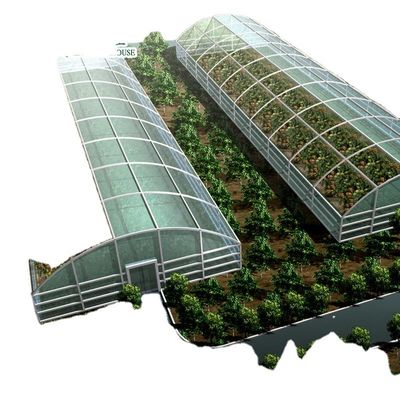 Εμπορικό σύστημα ενυδρείων Aquaponic Προσυσκευασμένα θερμοκήπια PO για λαχανικά