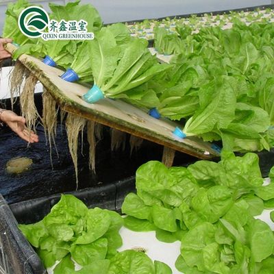 Πύργο PO Κήπος για λαχανικά Φρούτα Λουλούδια Φθηνό για τον προϋπολογισμό γεωργικό θερμοκήπιο