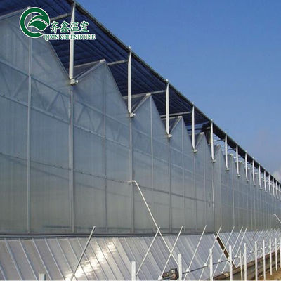 Το θερμοκήπιο Venlo Multi-Span βελτιώνει τη γεωργία με εσωτερικό και εξωτερικό σύστημα σκιάσης