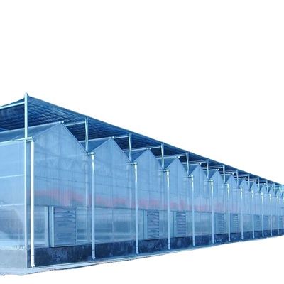 3.8m-9.8m Ridge Height Glass Solar Greenhouse για απαιτήσεις πελατών