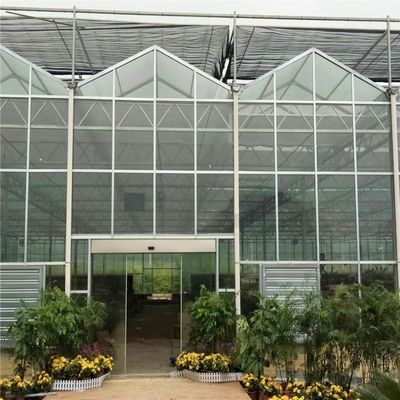Μεγάλο θερμοκήπιο από γυαλί Venlo, ιδανικό για τις ανάγκες ανάπτυξης φυτών