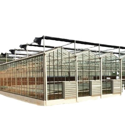 3.8m-9.8m Ridge Height Glass Solar Greenhouse για απαιτήσεις πελατών