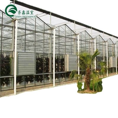 3.8m-9.8m Ridge Height Glass Solar Greenhouse για απαιτήσεις πελατών