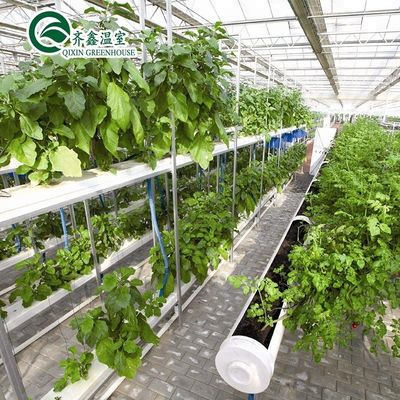 Πολλαπλών διαστάσεων γεωργικά θερμοκήπια με ταινία PO που επαναπροσδιορίζουν τα εσωτερικά υδροπονικά συστήματα