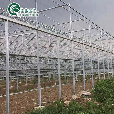 Μεγάλης κλίμακας γεωργικό δοχείο με γεωργικά θερμοκήπια πολλαπλών διαστάσεων