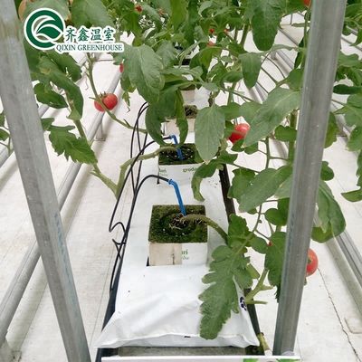 Συστήματα υδροπονικής καλλιέργειας εσωτερικών χώρων με προστασία από φιλμ PO για θερμοκήπια