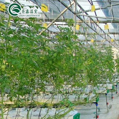 Συστήματα υδροπονικής καλλιέργειας εσωτερικών χώρων με προστασία από φιλμ PO για θερμοκήπια
